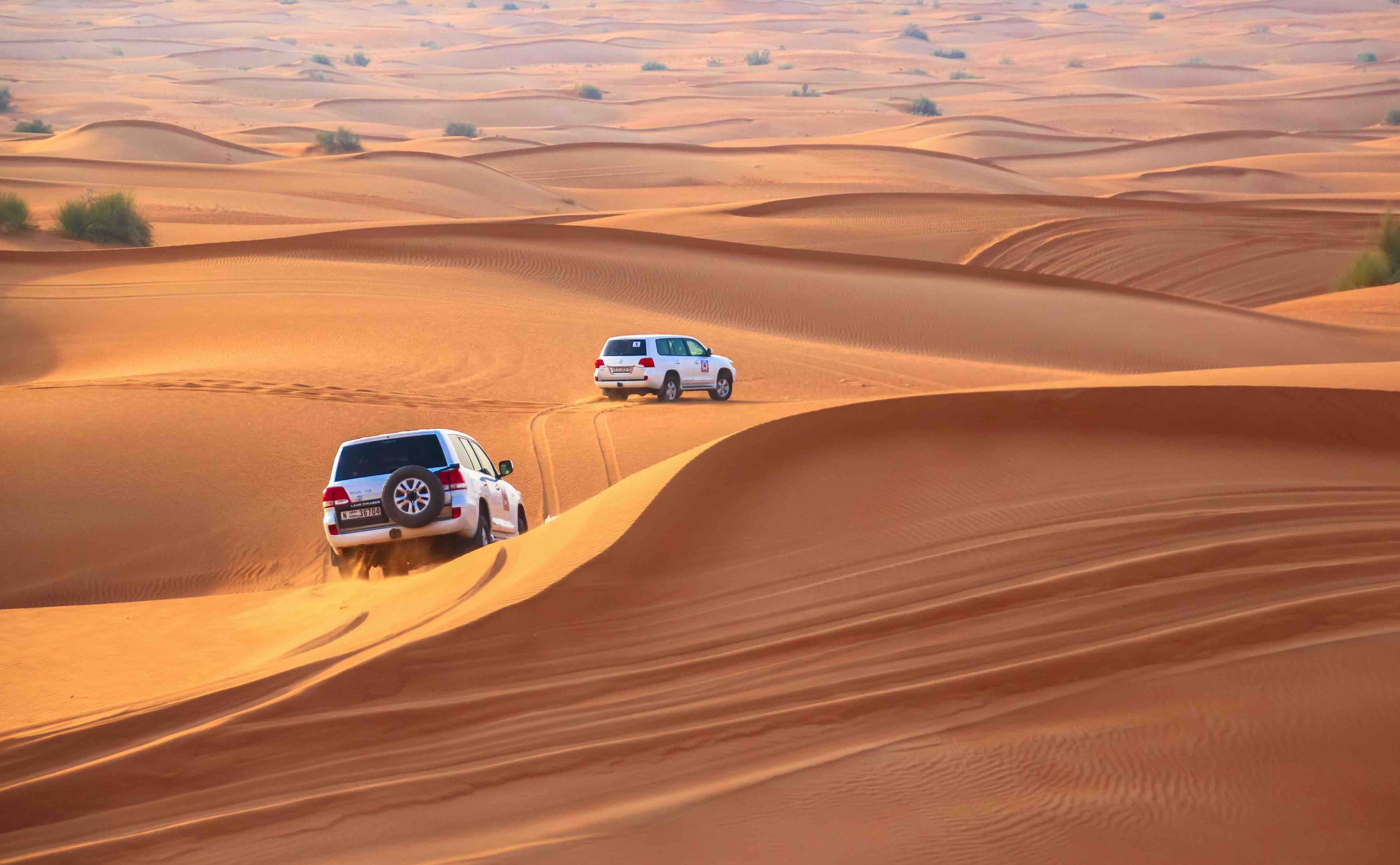 Desert safari dunes at golden hour